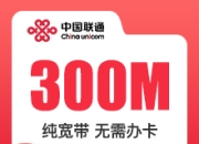 河南联通300M单宽带480元/年-双频-详情