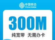 辽宁移动单宽带-大连移动300M单宽-1年期-详情