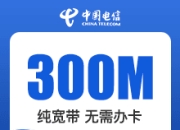 广西电信单宽-月付-300M单宽包月40元-月付-详情