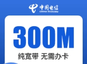广西电信单宽-月付-300M单宽包月40元-月付-详情