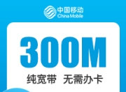重庆移动单宽-重庆移动300M单宽-详情