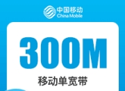 广东移动单宽-广东移动300M单宽..-默认-详情